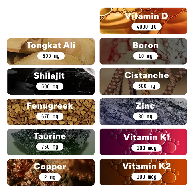 Natural Testosterone Support