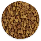 Fenugreek